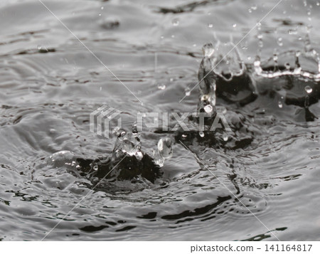 Water drops falling on the water surface Water drops falling on the water surface 141164817