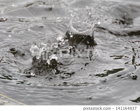 Water drops falling on the water surface Water drops falling on the water surface 141164837