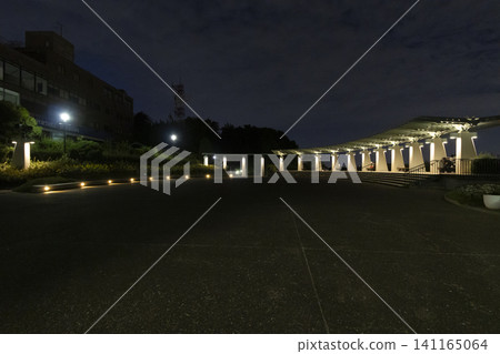 海港景觀公園的夏天 海港景觀公園的夏天 141165064