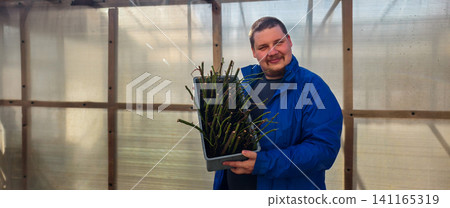 Man smiling at the camera while holding a tray of rose stem cuttings in a sunlit commercial greenhouse, preparing propagation and future planting for a small plant nursery business. Man smiling at the camera while holding a tray of rose stem cuttings in a sunlit commercial greenhouse, preparing propagation and future planting for a small plant nursery business. 141165319