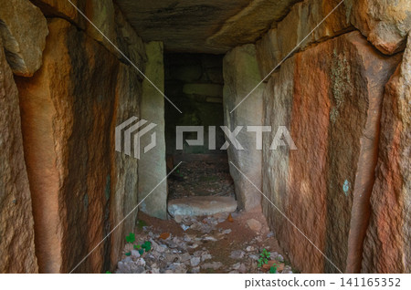 The interior of the ancient burial mounds in the Otobana Tumulus Cluster. The interior of the ancient burial mounds in the Otobana Tumulus Cluster. 141165352