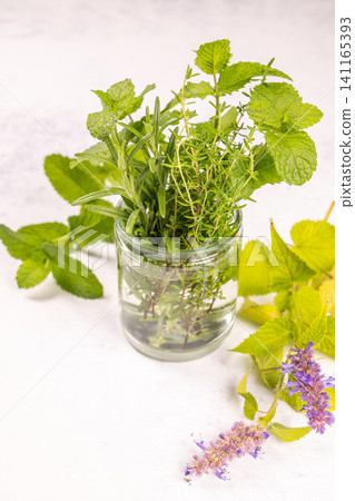 Fresh herbs arrangement in a glass jar 141165393