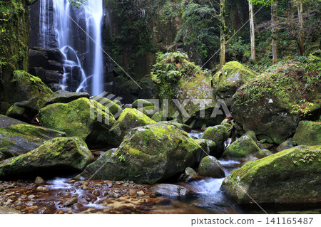 A waterfall flowing between moss-covered rocks A waterfall flowing between moss-covered rocks 141165487