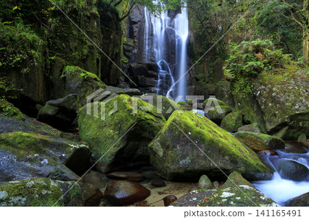 A waterfall flowing between moss-covered rocks A waterfall flowing between moss-covered rocks 141165491