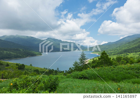 群馬縣野奘湖初夏時節 141165897