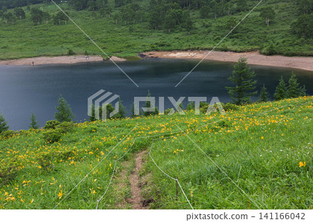 Lake Nozori in early summer: Lakeside promenade, Gunma Prefecture Lake Nozori in early summer: Lakeside promenade, Gunma Prefecture 141166042