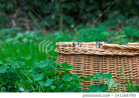 Wicker foraging basket in green forest grass, with a blurred green woodland background and  copy space. 141166700