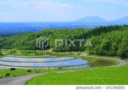 Ogida in early summer (Sanzan village, Kumamoto prefecture) Ogida in early summer (Sanzan village, Kumamoto prefecture) 141166893