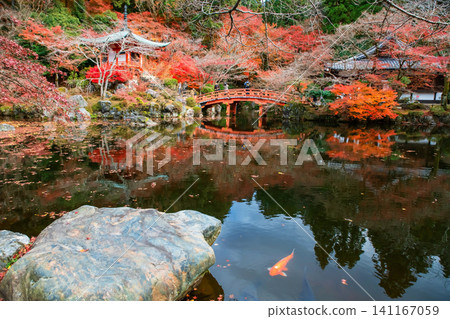 Carp swim in pond by Pavilion pagoda and bridge, Daigo-ji, Kyoto Carp swim in pond by Pavilion pagoda and bridge, Daigo-ji, Kyoto 141167059