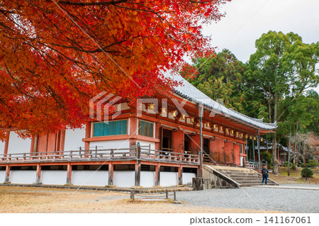 Tourist at Kondo Golden Hall by red maple leaf, Daigoji temple, Kyoto Tourist at Kondo Golden Hall by red maple leaf, Daigoji temple, Kyoto 141167061