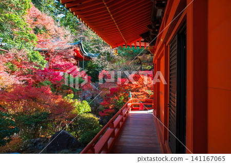 Bishamondo temple patio with autumn garden and pagofa view, Kyoto Bishamondo temple patio with autumn garden and pagofa view, Kyoto 141167065