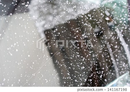 Close-up of a car window covered with delicate snowflakes. The crystalline patterns stand out against the reflective surface, where faint outlines of the surroundings appear blurred. Close-up of a car window covered with delicate snowflakes. The crystalline patterns stand out against the reflective surface, where faint outlines of the surroundings appear blurred. 141167198