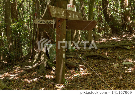 京嶽山登山道上的中山峠 京嶽山登山道上的中山峠 141167909