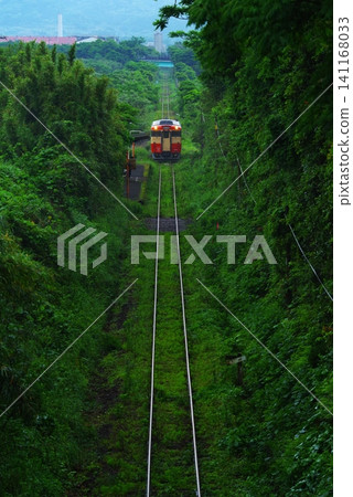 Deep green railway Deep green railway 141168033