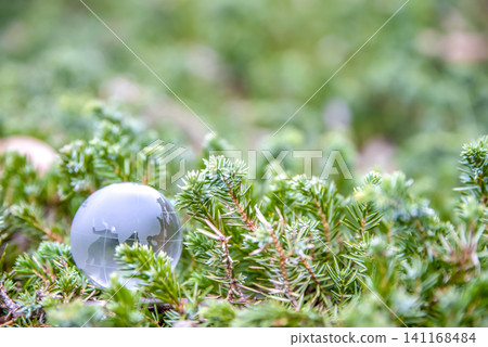 Crystal globe and green plants - SDGs and environmental protection image Crystal globe and green plants - SDGs and environmental protection image 141168484