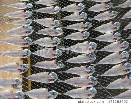 Dried fish from Atami Dried fish from Atami 141168492