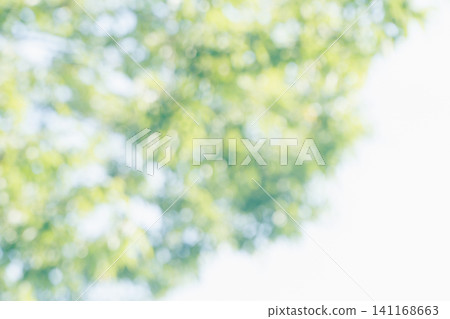 A refreshing deep green image for summer. A refreshing deep green image for summer. 141168663