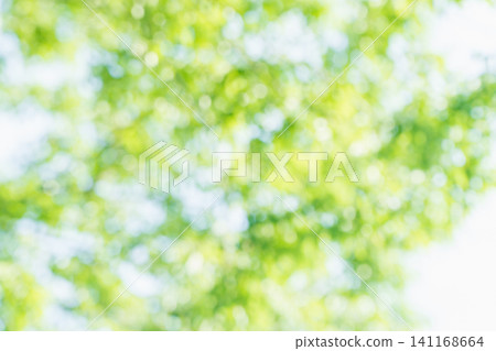 A refreshing deep green image for summer. A refreshing deep green image for summer. 141168664