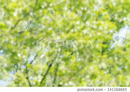 A refreshing deep green image for summer. A refreshing deep green image for summer. 141168665