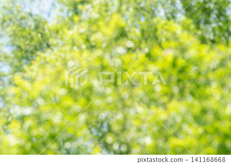 A refreshing deep green image for summer. A refreshing deep green image for summer. 141168668