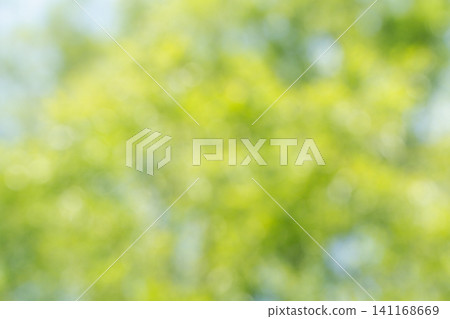 A refreshing deep green image for summer. A refreshing deep green image for summer. 141168669