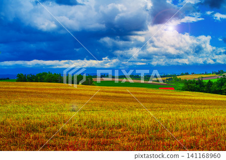 Rural landscape Rural landscape 141168960
