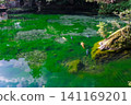 Clean current pond 141169201