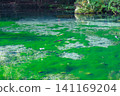 Transparent pond 141169204