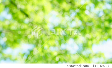 令人耳目一新的深綠色夏日景象。 令人耳目一新的深綠色夏日景象。 141169207