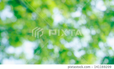 A refreshing deep green image for summer. A refreshing deep green image for summer. 141169209