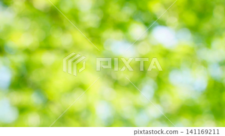 令人耳目一新的深綠色夏日景象。 令人耳目一新的深綠色夏日景象。 141169211