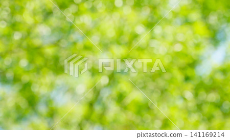 令人耳目一新的深綠色夏日景象。 令人耳目一新的深綠色夏日景象。 141169214