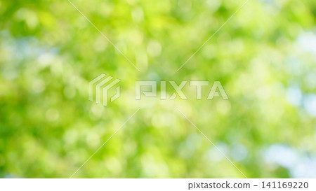 令人耳目一新的深綠色夏日景象。 令人耳目一新的深綠色夏日景象。 141169220