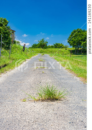 Terraced rice fields in Ogi, Otsu City, Shiga Prefecture Terraced rice fields in Ogi, Otsu City, Shiga Prefecture 141169230