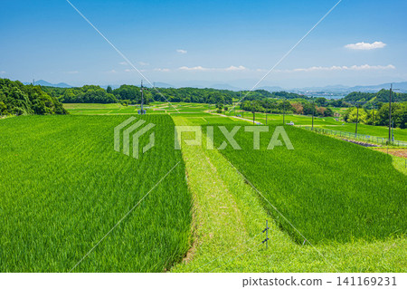 Terraced rice fields in Ogi, Otsu City, Shiga Prefecture Terraced rice fields in Ogi, Otsu City, Shiga Prefecture 141169231