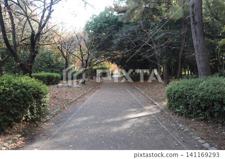 大阪城公園的秋景 大阪城公園的秋景 141169293