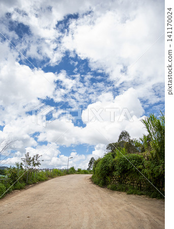 A peaceful country dirt road winding upward toward a bright blue sky filled with fluffy white clouds, lined with lush green vegetation. A peaceful country dirt road winding upward toward a bright blue sky filled with fluffy white clouds, lined with lush green vegetation. 141170024