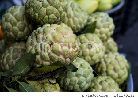 Fresh custard apples with textured green skin 141170152