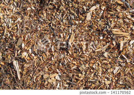 Natural Wood Chips Texture Background for Gardening Landscaping and Sustainable Forest Mulch Natural Wood Chips Texture Background for Gardening Landscaping and Sustainable Forest Mulch 141170562