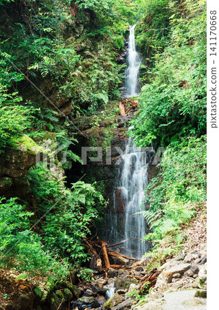 Scenery of Reiki Falls, Matsuo Taisha Shrine, Kyoto Rakusai 141170668