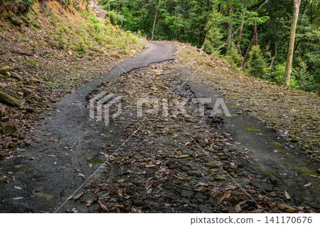 Forest road collapsed due to flooding Forest road collapsed due to flooding 141170676