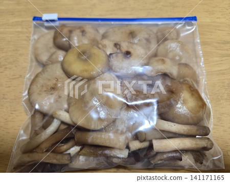 野生橡樹菇的預處理和包裝,以便冷凍保存。 野生橡樹菇的預處理和包裝,以便冷凍保存。 141171165