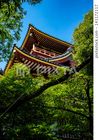 Fushimi Momoyama Castle: The magnificent grandeur of its large and small keeps. 141172117