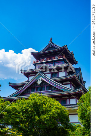 Fushimi Momoyama Castle: The magnificent grandeur of its large and small keeps. Fushimi Momoyama Castle: The magnificent grandeur of its large and small keeps. 141172159