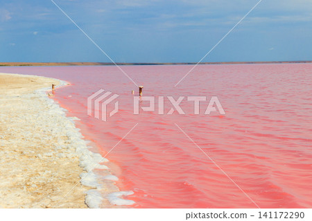 View of the pink salty Syvash lake in Kherson region, Ukraine View of the pink salty Syvash lake in Kherson region, Ukraine 141172290