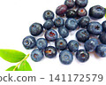 blueberry fruit berries 141172579
