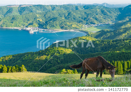 Misaki Ma of Tokyo cape Misaki Ma of Tokyo cape 141172770