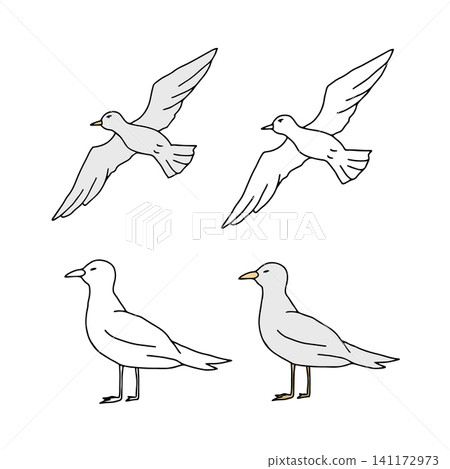 Seagulls set flying in sky Vector graphic illustration. Marine birds doodle silhouettes isolated on white background. Nautical design elements for summer vacation, beach, ocean concept. Flat style Seagulls set flying in sky Vector graphic illustration. Marine birds doodle silhouettes isolated on white background. Nautical design elements for summer vacation, beach, ocean concept. Flat style 141172973