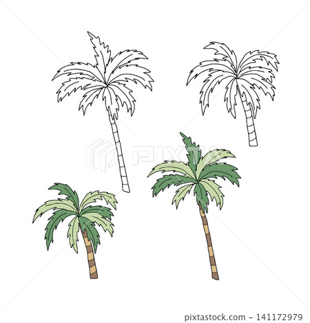 Tropical palm trees set flat vector graphic illustration. Isolated exotic botanical doodle elements with white background for summer beach designs, travel branding, greeting cards, nautical patterns Tropical palm trees set flat vector graphic illustration. Isolated exotic botanical doodle elements with white background for summer beach designs, travel branding, greeting cards, nautical patterns 141172979