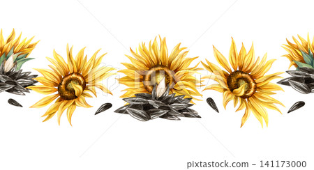 Watercolor seeds and sunflower flowers seamless border. Pile of black seeds with open kernel Isolated on white background. Hand drawn repeat illustration for snack packaging, label, oil production Watercolor seeds and sunflower flowers seamless border. Pile of black seeds with open kernel Isolated on white background. Hand drawn repeat illustration for snack packaging, label, oil production 141173000